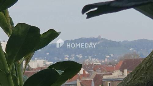 Der berühmte Turmbergblick - vom Garten aus - 