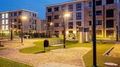 IMG_3461-2.jpg - 