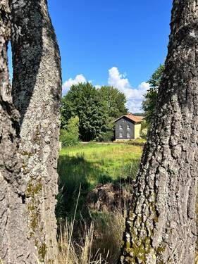 Ansicht - 