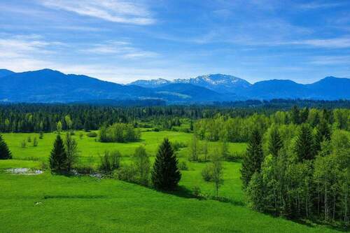 Ausblick - Naturnah leben und wohnen in Obermaxkron