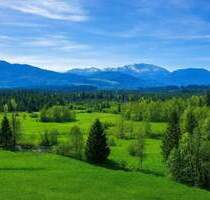 Naturnah leben und wohnen in Obermaxkron - Penzberg / Maxkron