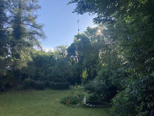 Blick in den Garten - 