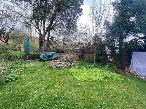 Gemeinschaftsgarten - 