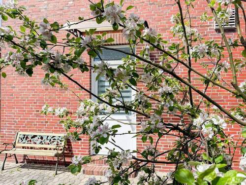 Garten - Mehrfamilienhaus, Wohnhaus mit 284,00 m&sup2; in Dornum zum Kaufen