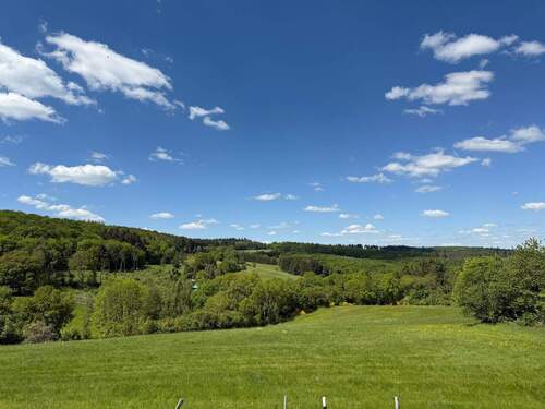 Aussicht - Einfamilienhaus mit 138,00 m² in Neu-Anspach zum Kaufen