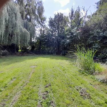 Blick in den Garten - 