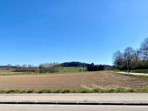 Ausblick - 