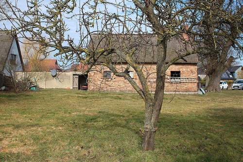 Grundstück - Einfamilienhaus mit 221,00 m&sup2; in Born a. Darß zum Kaufen