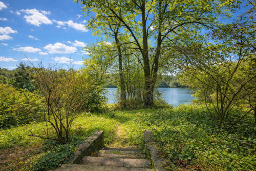 Wassergrundstück - EINMALIGE GELEGENHEIT - GROSSES WASSERGRUNDSTÜCK IN BESTER GRUNEWALD-LAGE