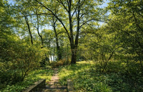 Wassergrundstück - Grundstück in Berlin