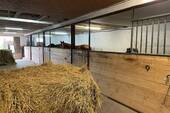 Stallboxen - 