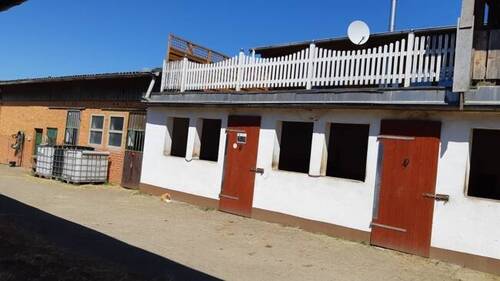 Stallung mit Wohneinheit oben - Mehrfamilienhaus, Wohnhaus in Seesen zum Kaufen