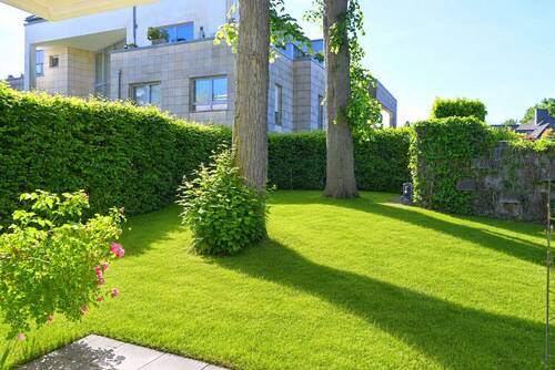 Blick in den Garten - 