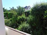 DSC00011.JPG - 