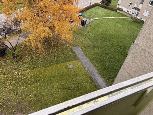 Wiese vor dem Haus - 