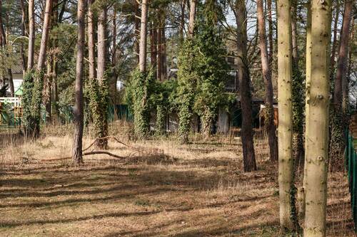 Bild 6 - 