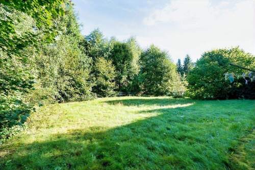 Garten hinter dem Haus - 