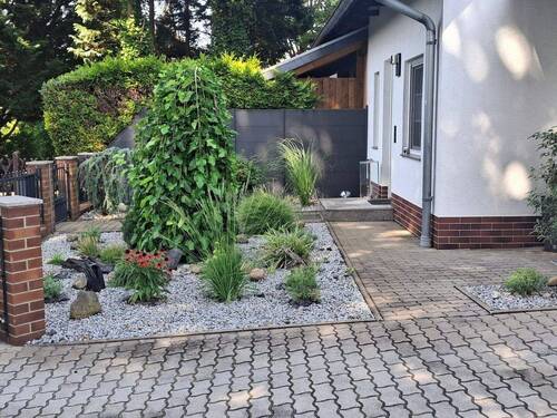 Vorgarten/Einfahrt - 
