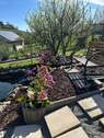 Garten im Sommer - 