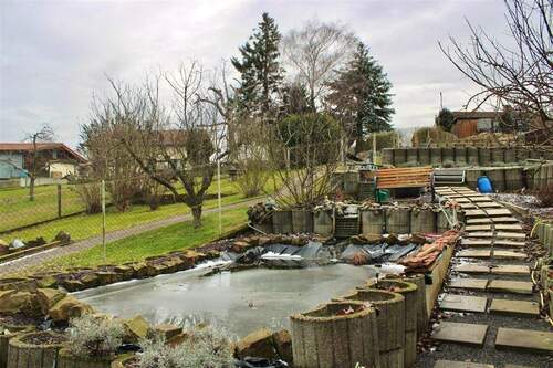 Gartenteich - 