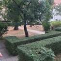 Innenhofgarten.jpg - 