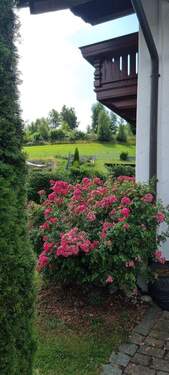 Garten, Impressionen.jpg - 5 Zimmer Mehrfamilienhaus, Wohnhaus in Buch am Erlbach