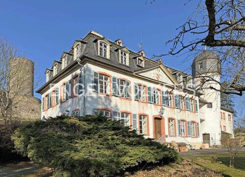 Ansicht vom Park aufs Anwesen - 