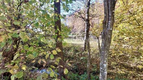 Ausblick Löschweiher - 