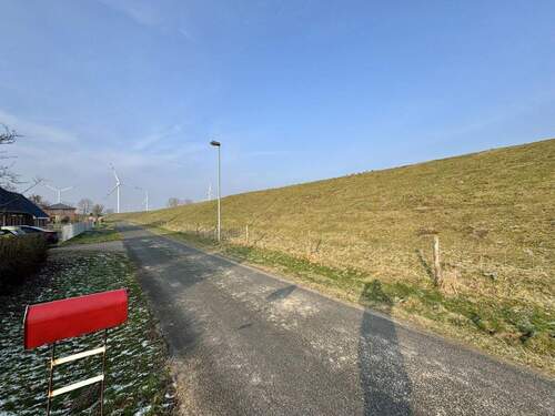 Ruhige Nachbarschaft - 