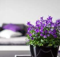 INDIVIDUELL WIE SIE ! Schnuckelige 2-Zi-Whg, WF 51 m², Chiemsee & Alpen - Bernau