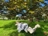 Gartentisch - 