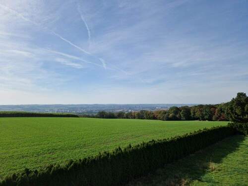 20231011_140315 - 5 Zimmer Reihenendhaus in Dresden / Rockau