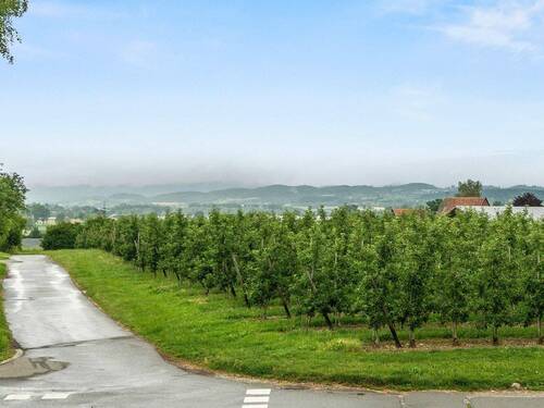Blick von der Terrasse - 