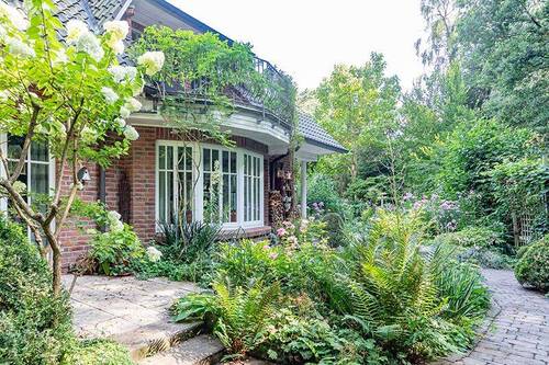 Blick in den Garten - 