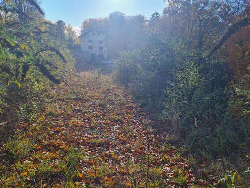 20251024_155624.jpg - Attraktives Baugrundstück in Grünwald – Ideal für Ihr Traumprojekt