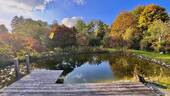 Bild 13 - 