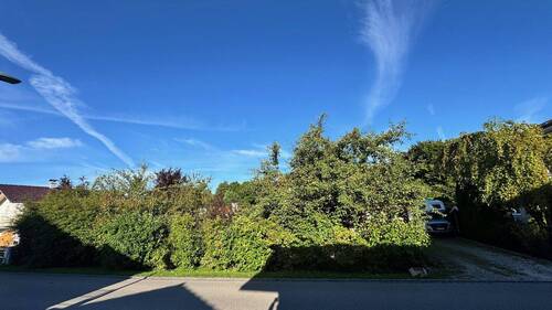 Westblick vom Haus weg - 