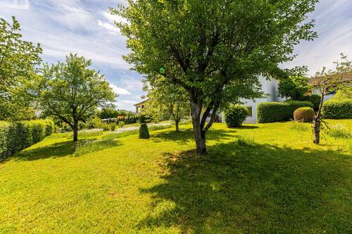 Garten - 
