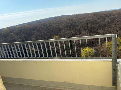 Balkon mit toller Aussicht über den Stadtwald - 