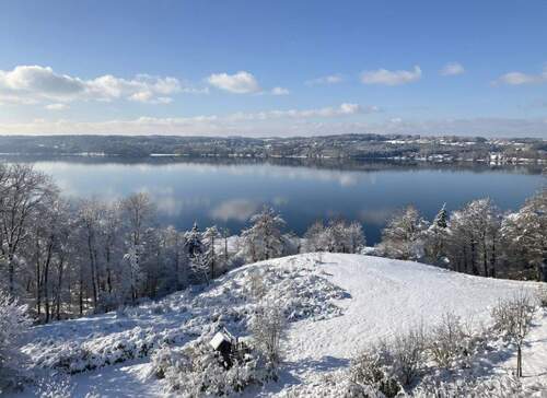 Bild 3 - Grundstück in Berg