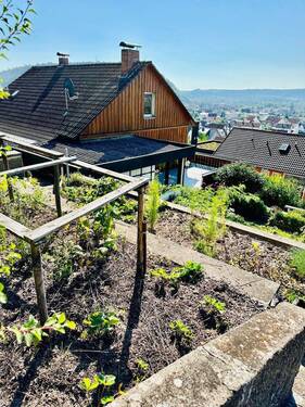 Garten, Hausansicht - 6 Zimmer Einfamilienhaus zum Kaufen in Ebelsbach