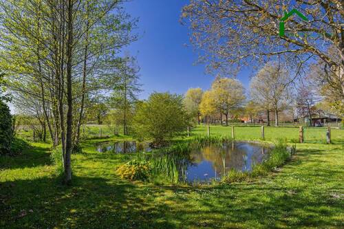Gartenteiche - 