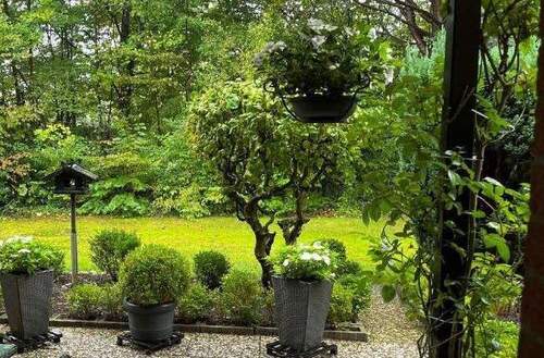 Blick von der Terrasse - 