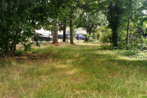 Blick vom Grundstück zur Straße - Grundstück in Mahlow