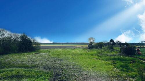 Feldblick - 