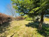 11. Garten - 