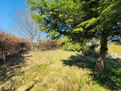 11. Garten - 