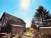 7. Hinterhof - 
