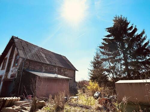 7. Hinterhof - 