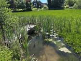  See Vergnügen - 